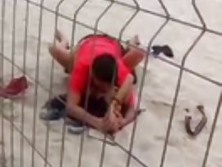 太棒了他妈的
